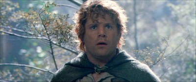 Samwise-Gamgee-samwise-gamgee-12089125-960-404.jpg