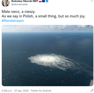 sikorski1.png