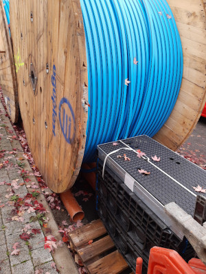 fiber (2).jpg