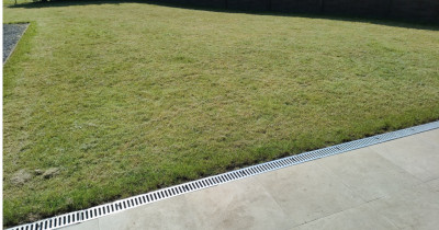 gras.jpg