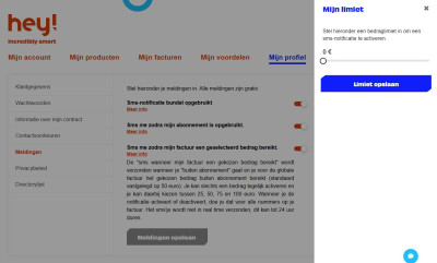 Schermafbeelding 2025-01-05 161141.jpg