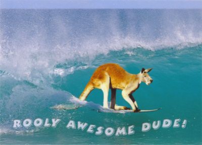 pc105-surfing-kangaroo-rooly-awesome-dude.jpg